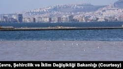 İzmir Körfezi'ndeki kirlilik nedeniyle bakanlık Büyükşehir Belediyesi'ni suçlarken belediye Bakanlığın sorumluluğunu yerine getirmediğini savunuyor.